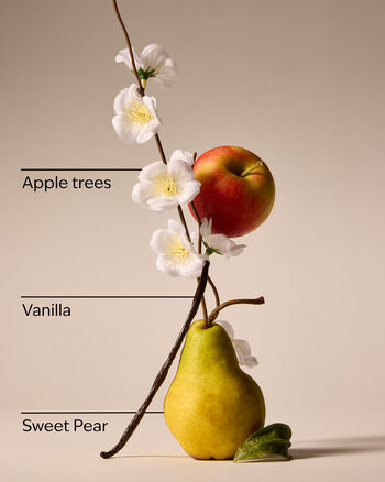 Spring Apple 3-Wick Candle 3-Wick Candle