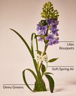 Fresh Cut Lilacs Gentle & Clean Foaming Hand Soap image number null