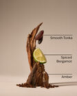 After Dark Body Spray image number null