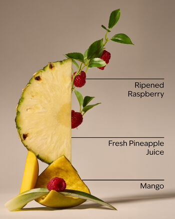 Pineapple Mango Cleansing Gel Hand Soap Cleansing Gel Hand Soap