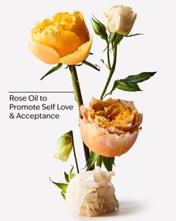 Heirloom Rose Essential Oil Mist image number null