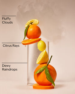 Morning Rainstorm Gentle & Clean Foaming Hand Soap image number null