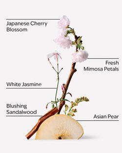 Japanese Cherry Blossom Travel Size Fine Fragrance Mist image number null