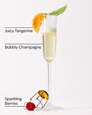 Champagne Toast Sanitizing Hand Gel Hand Sanitizer Gel