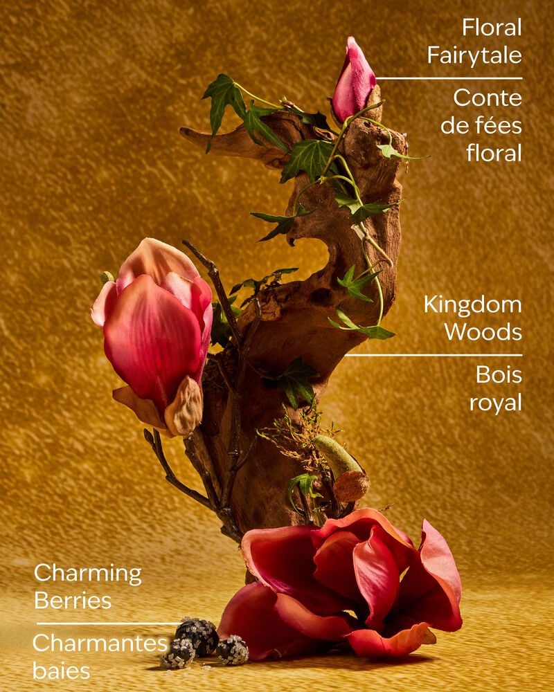 Life's a Fairytale Gentle & Clean Foaming Hand Soap Gentle & Clean Foaming Hand Soap