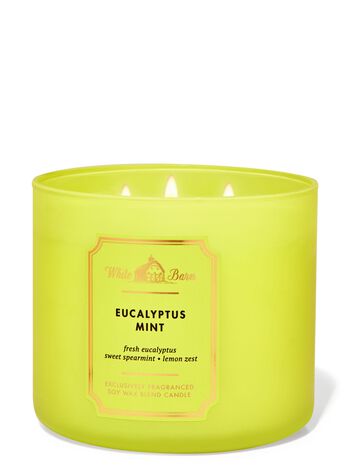 Eucalyptus Mint 3-Wick Candle 3-Wick Candle