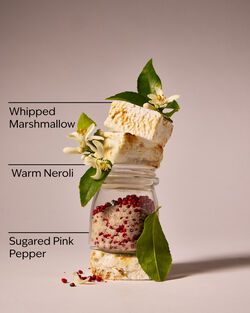 Love Unleashed Fine Fragrance Mist image number null