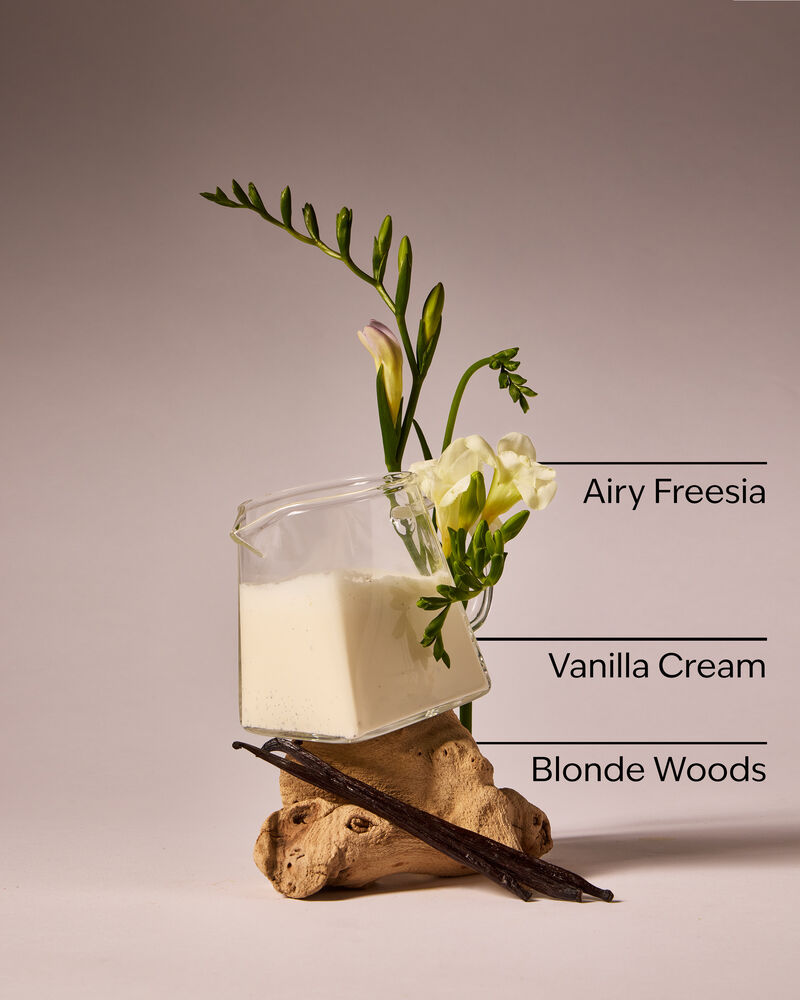 Vanilla Cloud 3-Wick Candle 3-Wick Candle