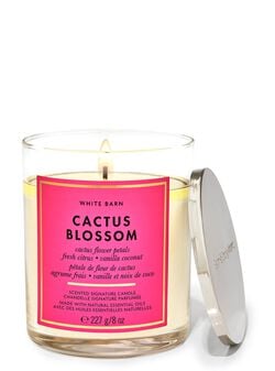 Cactus Blossom Signature Single Wick Candle Cactus Blossom Signature Single Wick Candle