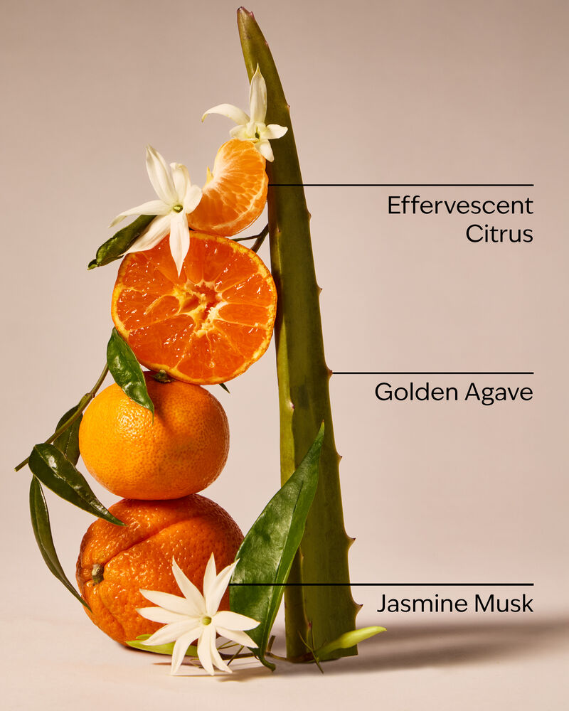 Sweet Orange & Agave Single Wick Candle Single Wick Candle