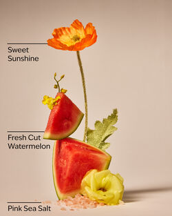 Fresh Watermelon Hand Sanitizer Spray image number null
