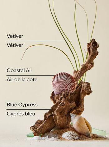 Ocean 3-Wick Candle 3-Wick Candle