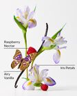 Butterfly Eau de Parfum image number null