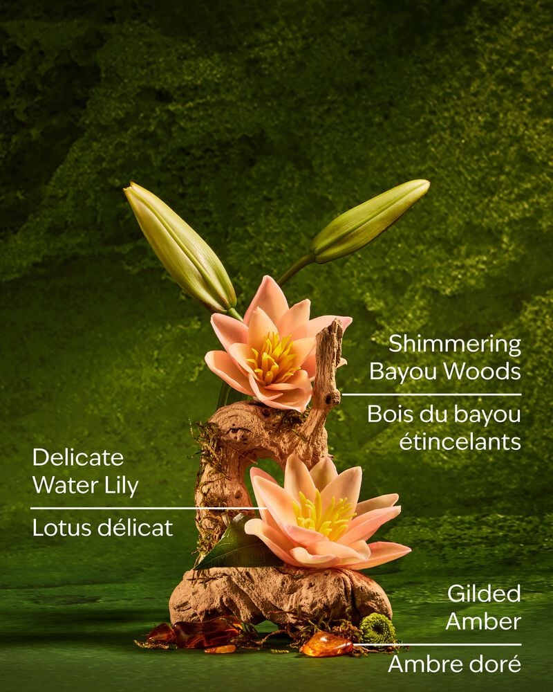 Tiana Gentle & Clean Foaming Hand Soap Gentle & Clean Foaming Hand Soap