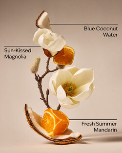 Endless Weekend Car Fragrance Refill image number null