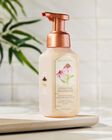 Springtime Greenhouse Gentle & Clean Foaming Hand Soap image number null