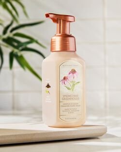 Springtime Greenhouse Gentle & Clean Foaming Hand Soap image number null