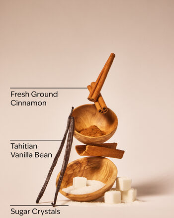 Cinnamon Spiced Vanilla Cleansing Gel Hand Soap Cleansing Gel Hand Soap