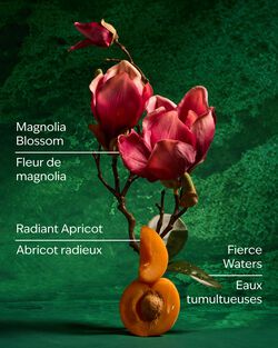 Mulan Diamond Shimmer Mist image number null