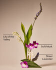 Moonlight Path Fine Fragrance Mist image number null