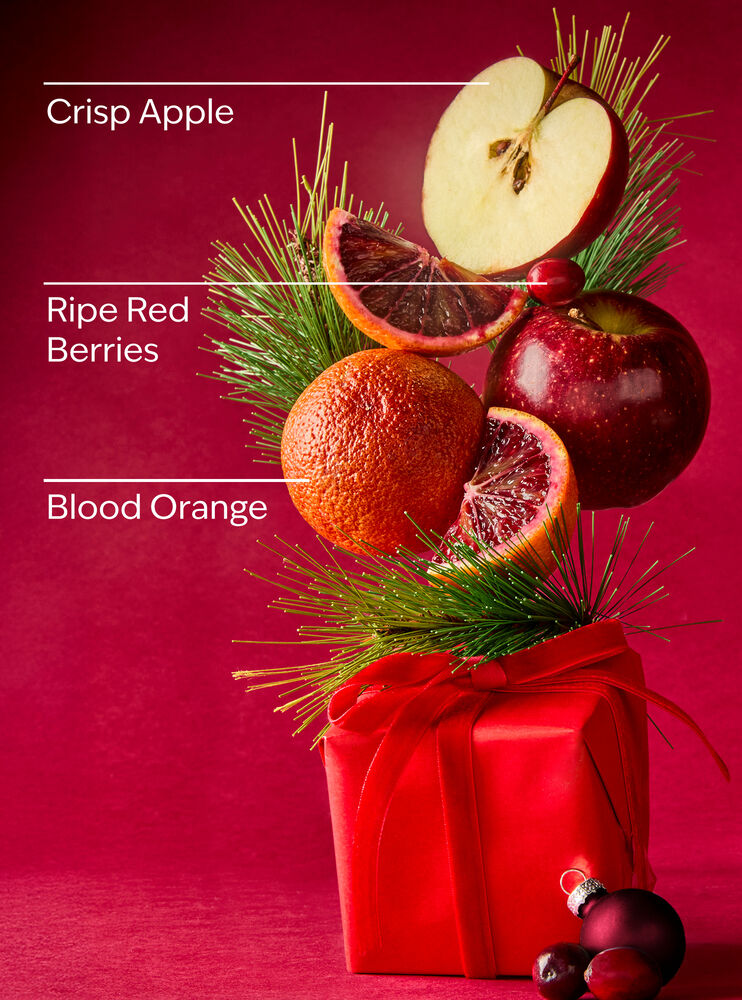 Bright Christmas Morning Shower Gel Shower Gel