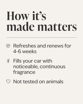 Frozen Lake Car Fragrance Refill Car Fragrance Refill