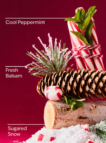 Twisted Peppermint Travel Size Body Lotion Travel Size Body Lotion