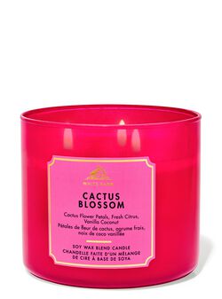 Cactus Blossom 3-Wick Candle Cactus Blossom 3-Wick Candle