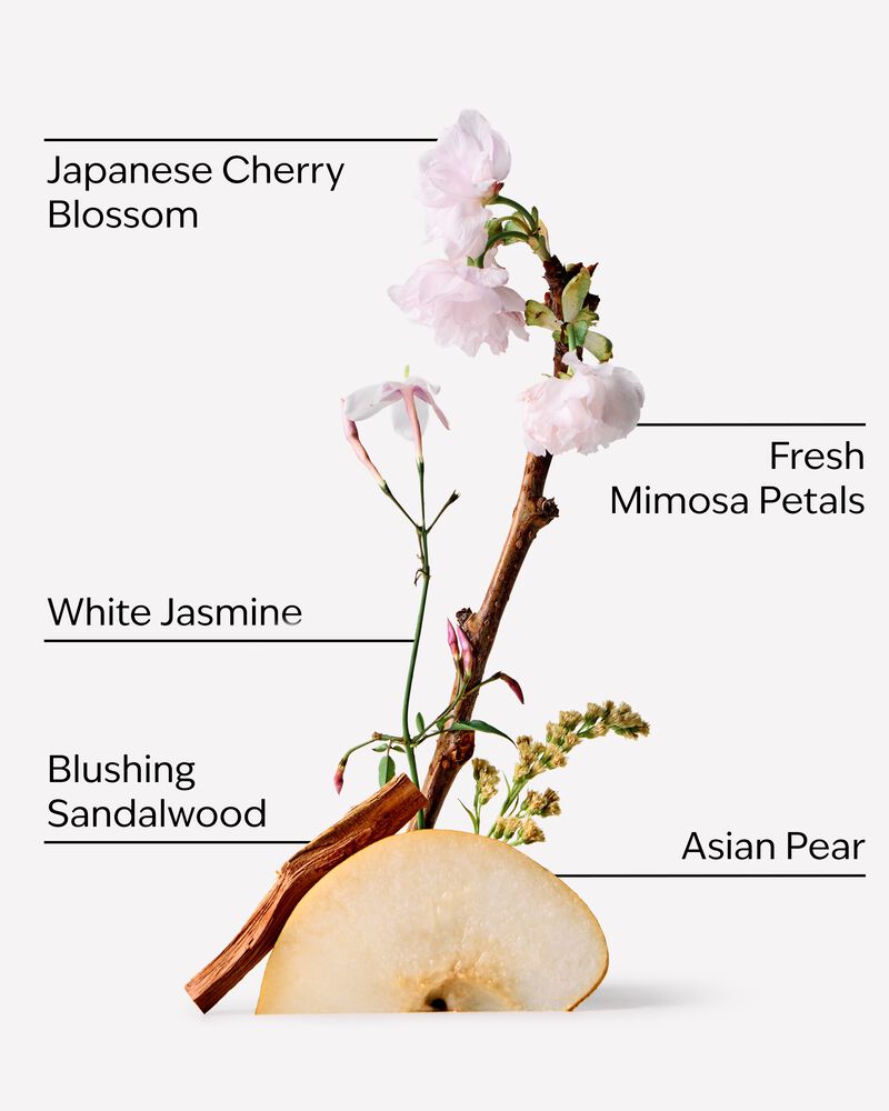 Japanese Cherry Blossom Body Lotion Body Lotion