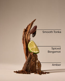 After Dark Antiperspirant Deodorant image number null