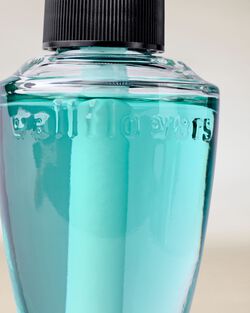 Sea Salt & Driftwood Wallflowers Fragrance Refill image number null
