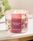 Springtime In Paris 3-Wick Candle image number null