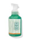 Beautiful Day Gentle Foaming Hand Soap image number null