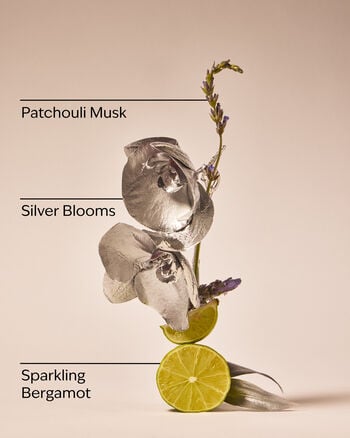 Platinum Diamond Shimmer Mist Diamond Shimmer Mist