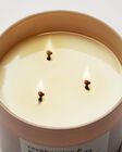 Raspberries & Whipped Vanilla 3-Wick Candle image number null