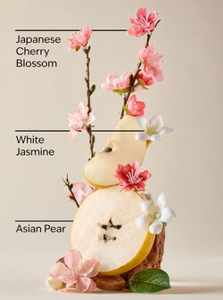 Japanese Cherry Blossom Ultimate Hydration Body Cream image number null