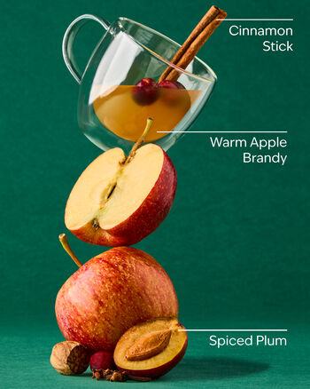 Spiced Apple Toddy Wallflowers Fragrance Refill Wallflowers Fragrance Refill