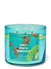 Sweet Kiwi & Star Fruit 3-Wick Candle image number null