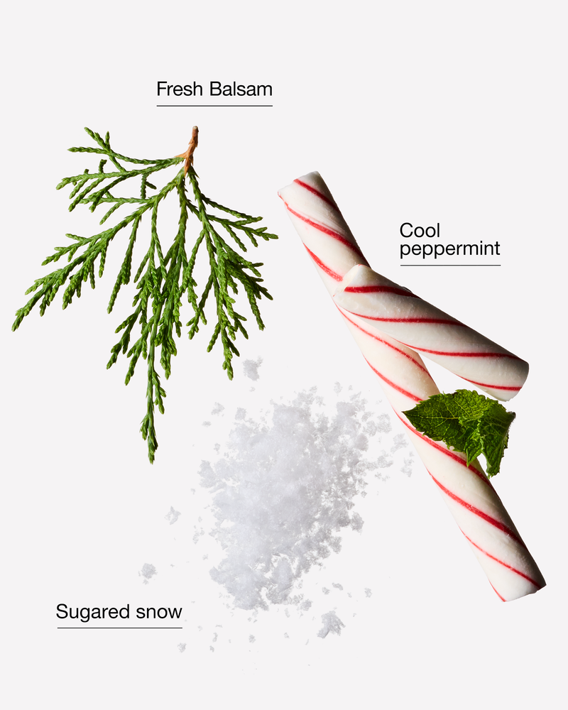 Twisted Peppermint Body Wash Body Wash