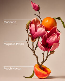 Pink Peach Blossom Hand Sanitizer Spray image number null