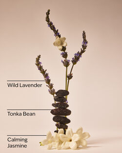 Sweet Lavender Daily Moisturizing Hand Soap image number null