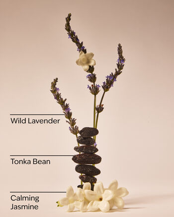 Sweet Lavender Daily Moisturizing Hand Soap Daily Moisturizing Hand Soap