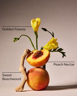 Peach Blossom & Nectar Exfoliating Glow Body Scrub image number null