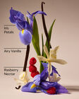 Butterfly 3-Wick Candle image number null