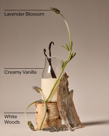 Lavender Vanilla Moisturizing Body Lotion Moisturizing Body Lotion