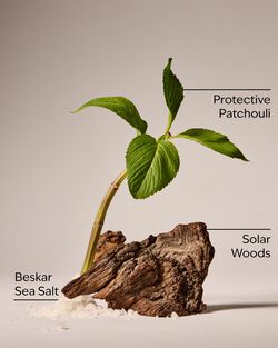 Bounty Hunter Cologne image number null