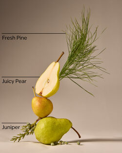 Crisp Morning Air PocketBac Hand Sanitizer image number null