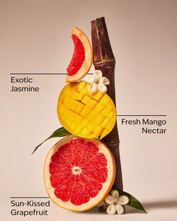 Mango Mai Tai Cleansing Gel Hand Soap image number null