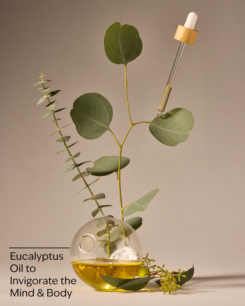 Eucalyptus Body Lotion Body Lotion