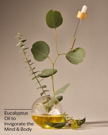 Eucalyptus Body Lotion Body Lotion